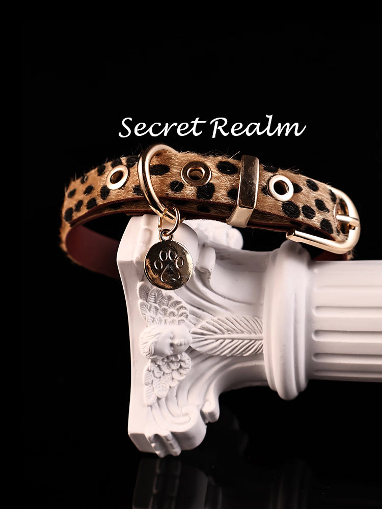 Leopard Print Collar with Leash