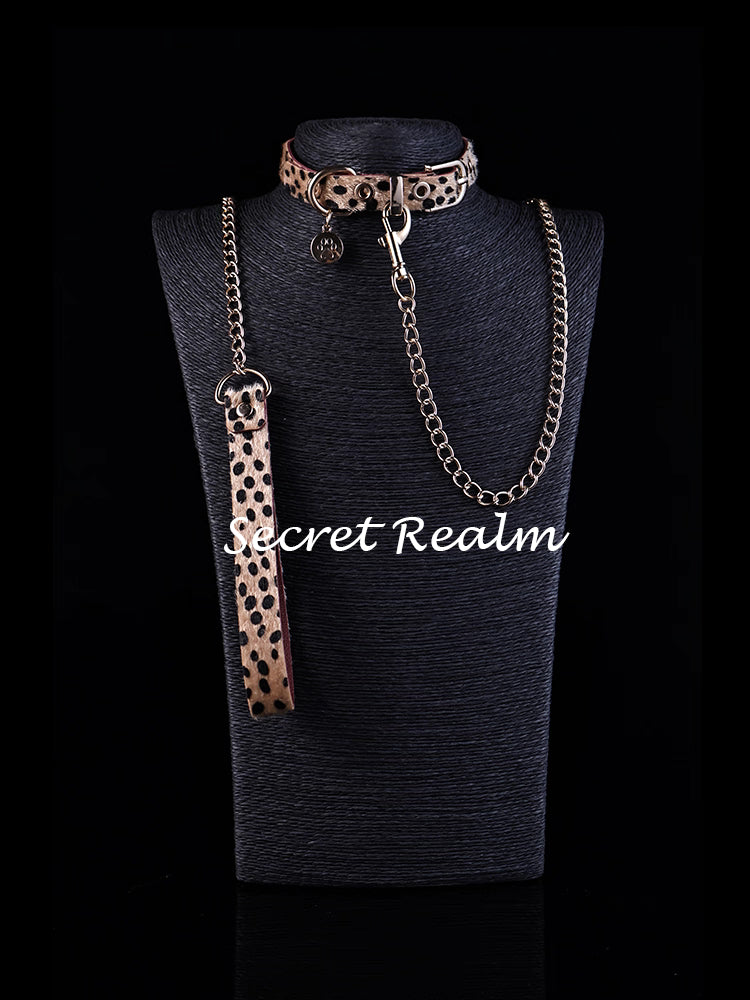 Leopard Print Collar with Leash