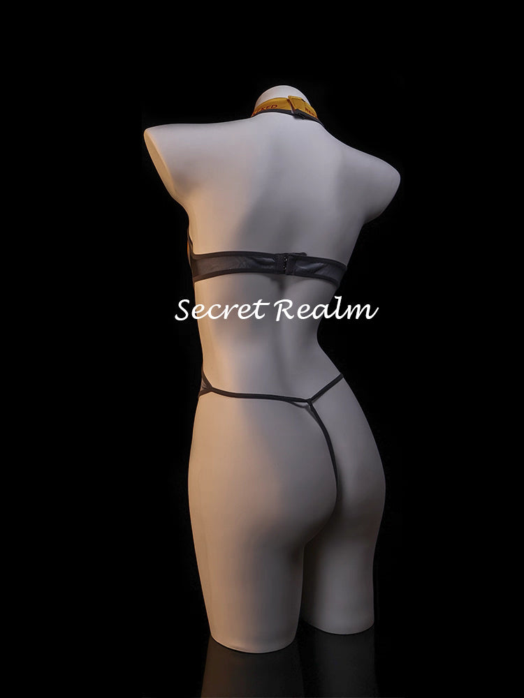 Danger Game Sheer Mesh Bodysuit