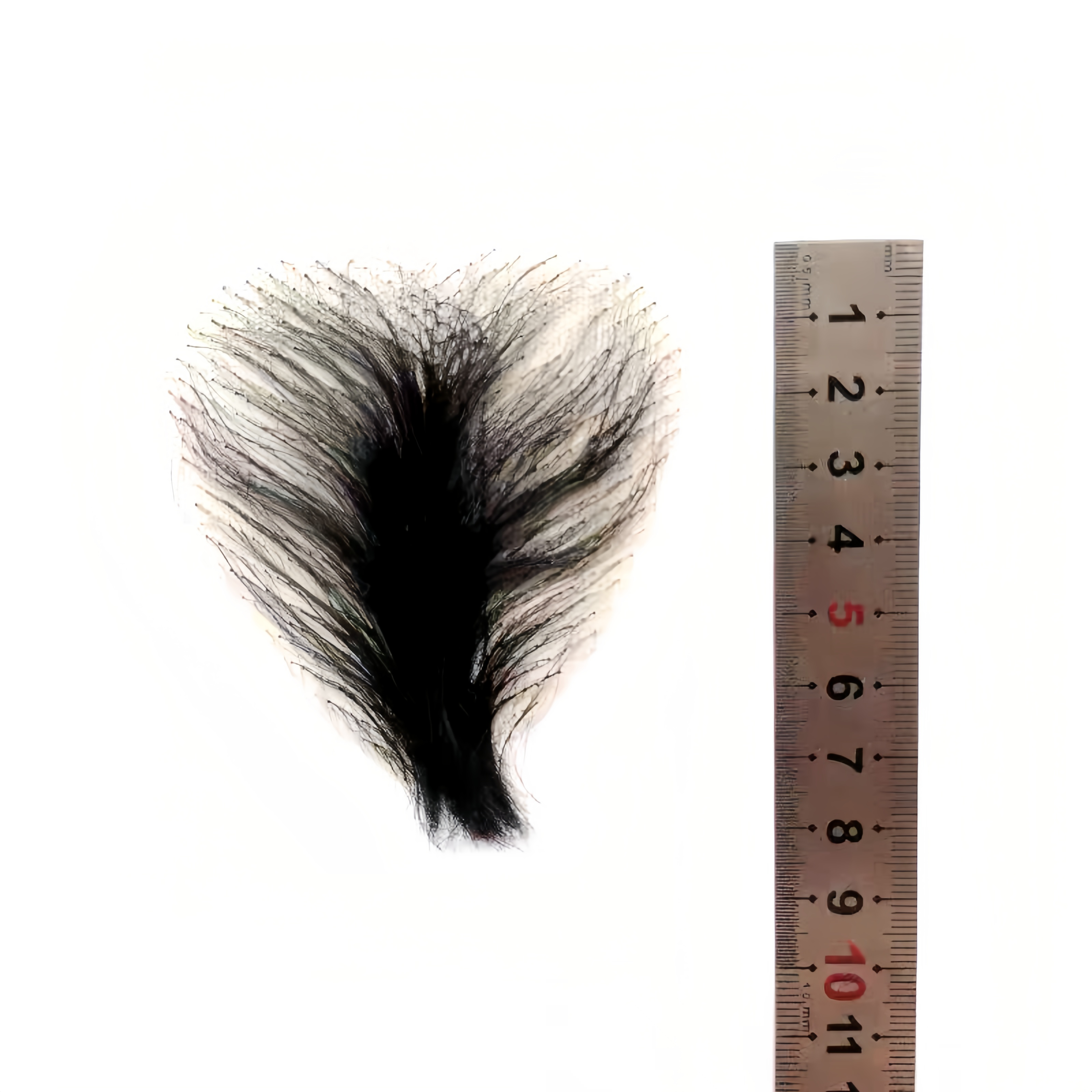 Patch de poils pubiens