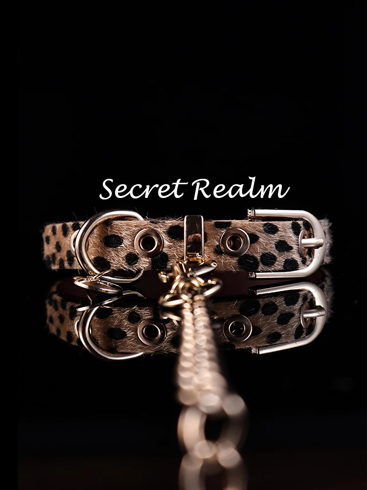Leopard Print Collar with Leash