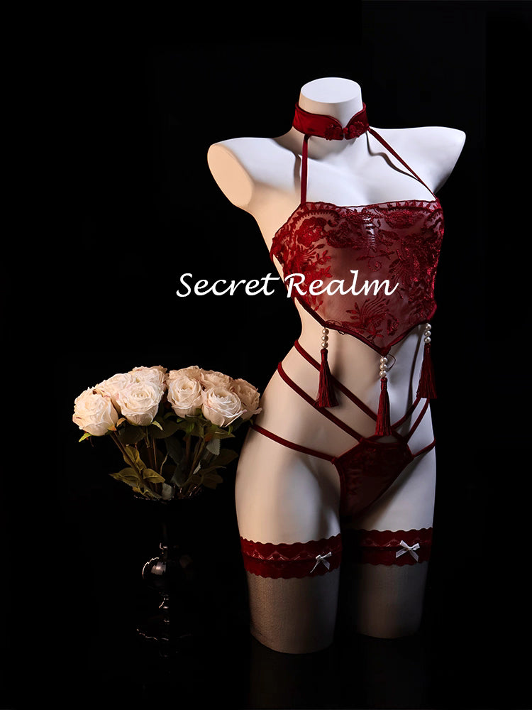 Sexy Lace Bustier & Garter Set