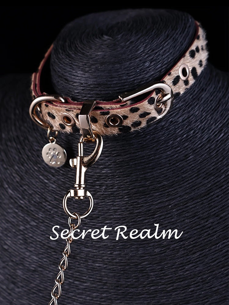 Leopard Print Collar with Leash